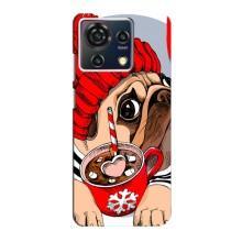 Бампер для ZTE Blade V50 Vita с картинкой "Песики" (Грустная собака)