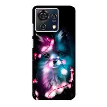Чехол с Лисичкой для ZTE Blade V50 Vita – Черная Лиса