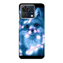 Чехол с Лисичкой для ZTE Blade V50 Vita – Яркая Лиса