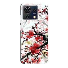Чехол с принтом САКУРЫ на ZTE Blade V50 Vita – Красивая Сакура