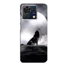 Чохол з Вовком на ZTE Blade V50 Vita – Вовк і місяць
