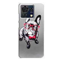 Чехол (ТПУ) Милые собачки для ZTE Blade V50 Vita (Бульдог в очках)