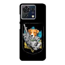 Чохол з принтом для ZTE Blade V50 Vita – Патрон Воїн