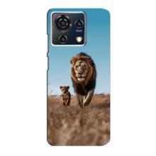 Чохол Король лев на ZTE Blade V50 Vita (Мусафа і Сімба)
