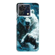 Чехол с картинкой «Хищники» для ZTE Blade V50 Vita – Медведь