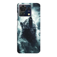 Чехол с картинкой «Хищники» для ZTE Blade V50 Vita