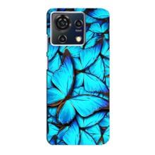 Силіконовий бампер з картинкою звірів для ZTE Blade V50 Vita (Крила метеликів)