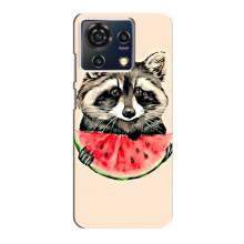 Силиконовый Чехол с Енотами на ZTE Blade V50 Vita – Енот