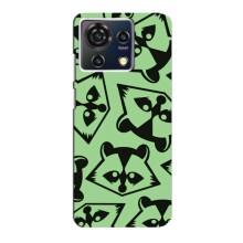 Силиконовый Чехол с Енотами на ZTE Blade V50 Vita – Мордочки Енота
