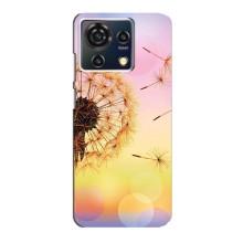 Силиконовый Чехол с одуванчиками на ZTE Blade V50 Vita – Цветок-одуванчик