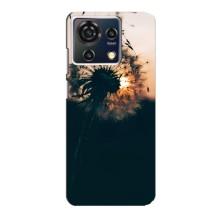Силиконовый Чехол с одуванчиками на ZTE Blade V50 Vita – Красивый одуванчик