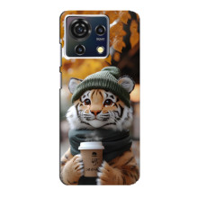 Друкований чохол 'Звірята з кавою' для ZTE Blade V50 Vita – Тигр з кавою