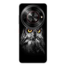 Чехлы с принтом СОВЫ для ZTE Nubia Focus 5G – Сова на чёрном