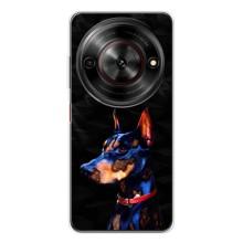 Бампер для ZTE Nubia Focus 5G с картинкой "Песики" (Собака Мопс)