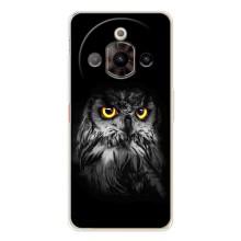 Чехлы с принтом СОВЫ для ZTE Nubia Focus Pro – Сова на чёрном