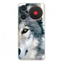 Чохли з картинкою животних ZTE Nubia Music (Вовк)