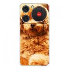 Чехлы с собаками для ZTE Nubia Music (VPrint)