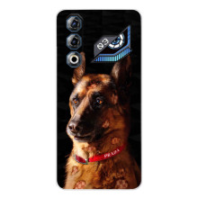 Чохли з картинкою животних ZTE Nubia Neo 3 GT (Овчарка)