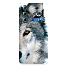 Чохли з картинкою животних ZTE Nubia Neo 3 GT (Вовк)