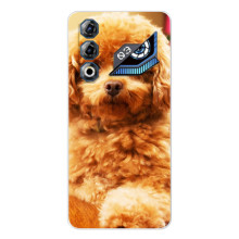 Чохли з собаками для ZTE Nubia Neo 3 GT (VPrint) (Цуценя Бішон)