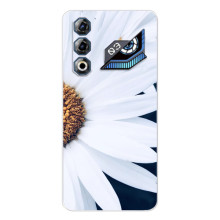 Чехол с ромашками на ZTE Nubia Neo 3 GT – Пол ромашки