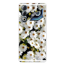 Чехол с ромашками на ZTE Nubia Neo 3 GT