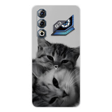 Чохол з малюнком кіт на ZTE Nubia Neo 3 GT (Пара котів)
