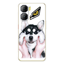 Бампер для ZTE Nubia Neo 3 с картинкой "Песики" (Собака Хаски)