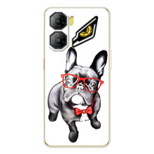 Бампер для ZTE Nubia Neo 3 с картинкой "Песики" (В очках)