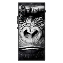 Чехлы с Горилой на ЗИТИ Нубия РэдМаджик 10 Эир – Черная обезьяна