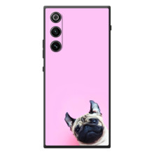 Бампер для ZTE Nubia RedMagic 10 Air с картинкой "Песики" (Собака на розовом)