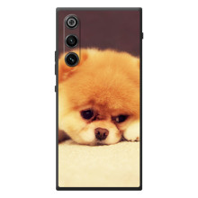 Чехол (ТПУ) Милые собачки для ZTE Nubia RedMagic 10 Air (Померанский шпиц)