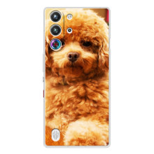 Чехлы с собаками для ZTE Nubia RedMagic 10 Pro (VPrint) (Щенок Бишон)