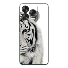 Чехлы с картинками животных ZTE Nubia V70 Design (Белый Тигр)