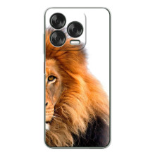 Чехлы с картинками животных ZTE Nubia V70 Design (Лев грива)