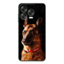 Чехлы с картинками животных ZTE Nubia V70 Design (Овчарка)