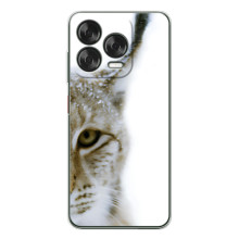 Чехлы с картинками животных ZTE Nubia V70 Design (Рысь)