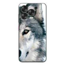 Чехлы с картинками животных ZTE Nubia V70 Design (Волк)