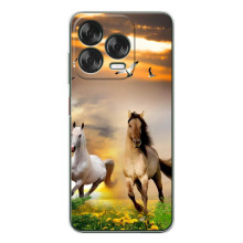 Чехлы с Лошадью дляZTE Nubia V70 Design (VPrint) (Лошадки)