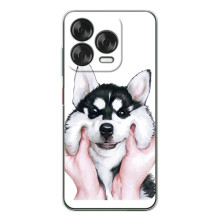 Чехлы с собаками для ZTE Nubia V70 Design (VPrint) (Довольный Хаски)