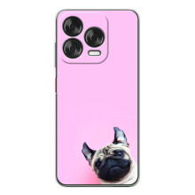 Чехлы с собаками для ZTE Nubia V70 Design (VPrint) (Смешная собака)