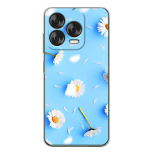 Чехол с Цветами для ZTE Nubia V70 Design (ромашки на голубом)