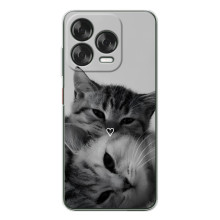 Чехол с рисунком кот на ZTE Nubia V70 Design (Пара котов)