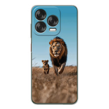 Чехол Король лев на Нубия В70 Дезигн (Мусафа и Симба)