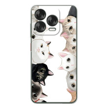 Силиконовый чехол с котиком для ZTE Nubia V70 Design (Коты)