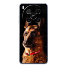 Чехлы с картинками животных ZTE Nubia V70 Max (Овчарка)