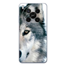 Чехлы с картинками животных ZTE Nubia V70 Max (Волк)