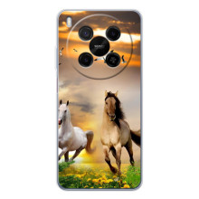 Чехлы с Лошадью дляZTE Nubia V70 Max (VPrint) – Лошадки