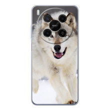 Чохол з Вовком на ZTE Nubia V70 Max