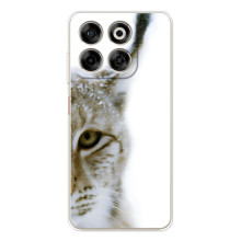 Чохли з картинкою животних ZTE Nubia V70 (Рись)